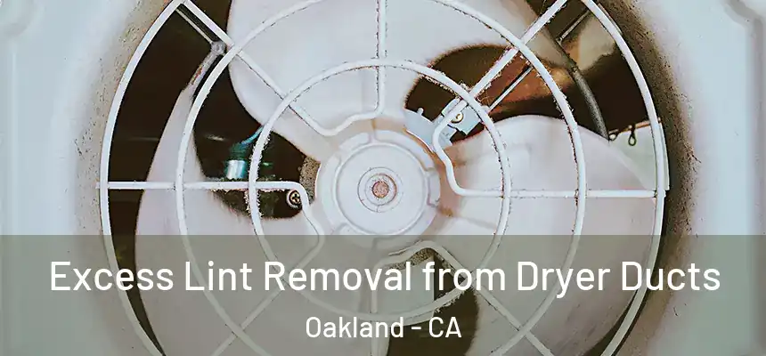  Excess Lint Removal from Dryer Ducts Oakland - CA