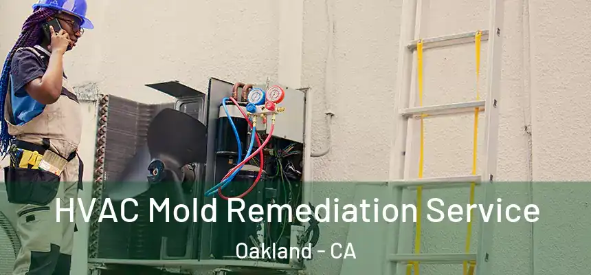  HVAC Mold Remediation Service Oakland - CA