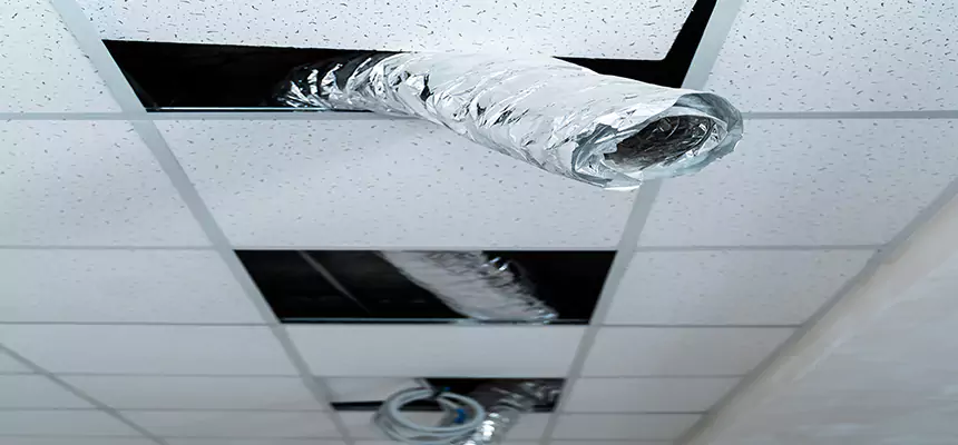 Affordable HVAC Sanitizing After Pest Removal in Oakland