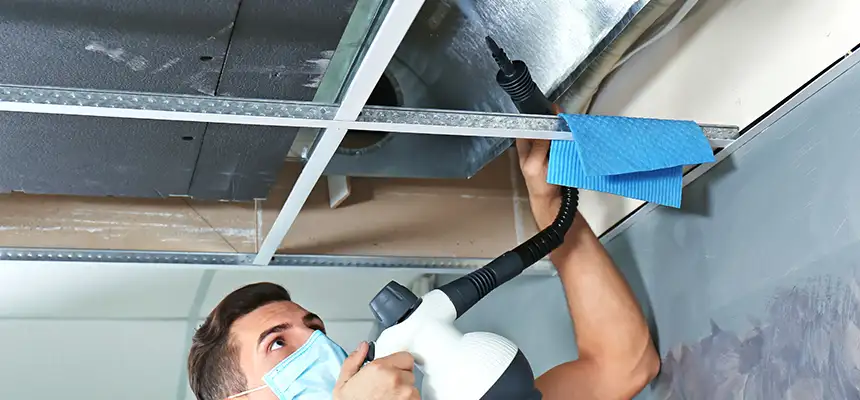 Our Air Duct Rodent Removal Services in Oakland, CA