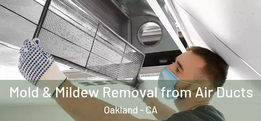  Mold & Mildew Removal from Air Ducts Oakland - CA