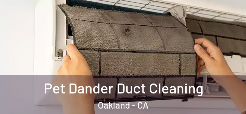  Pet Dander Duct Cleaning Oakland - CA