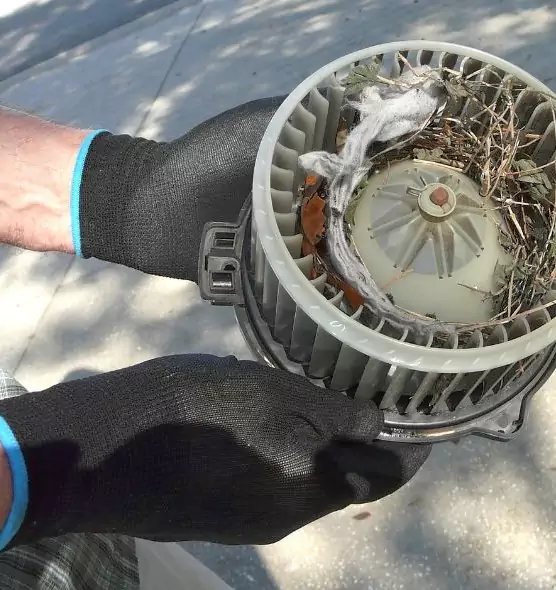 About Air Duct Mice Removal in Oakland, CA