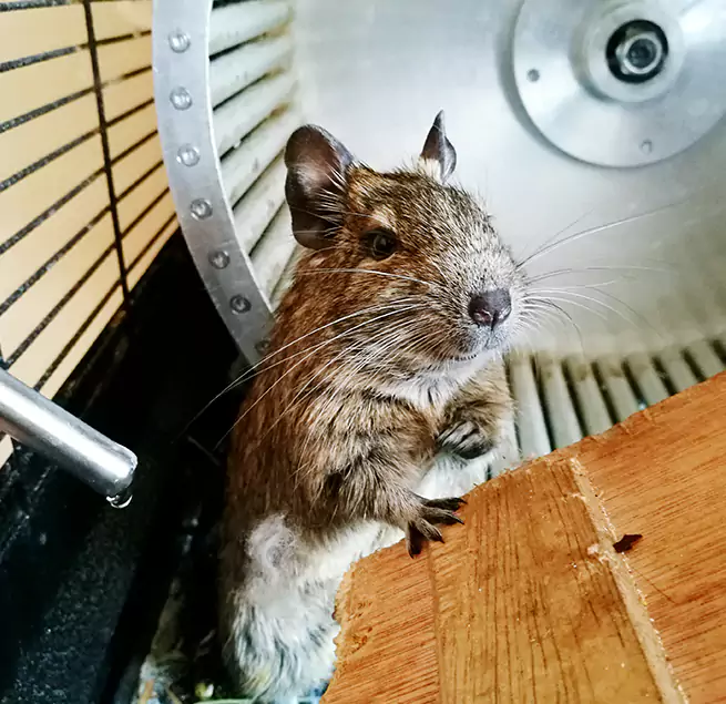 Why Homeowners & Businesses Trust Us Oakland, CA?